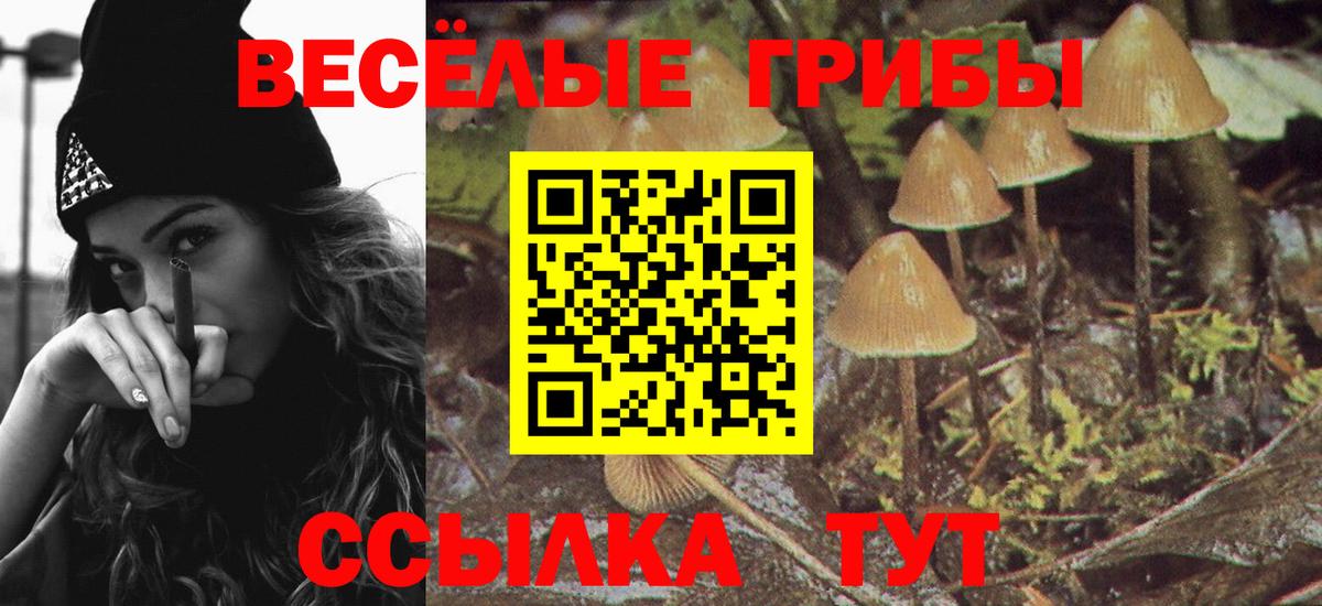 Галлюциногенные грибы GOLDEN TEACHER  дарнет шоп  Нурлат  Вход с VPN 